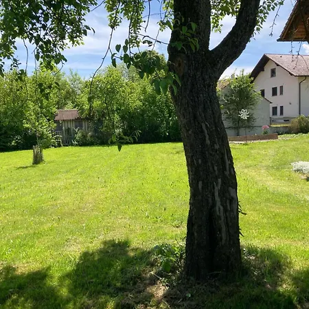 Souterrain Mit Gartenblick