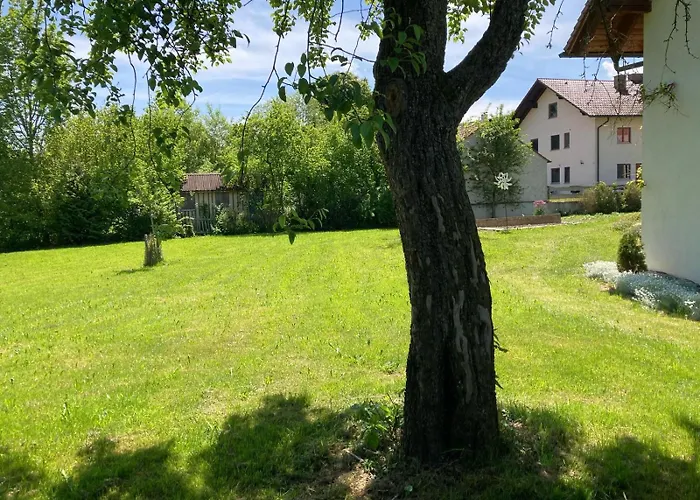 Souterrain Mit Gartenblick
